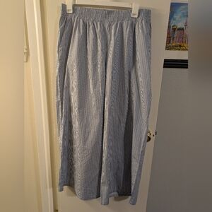 Express Women's Blue Striped Wide Leg Pants